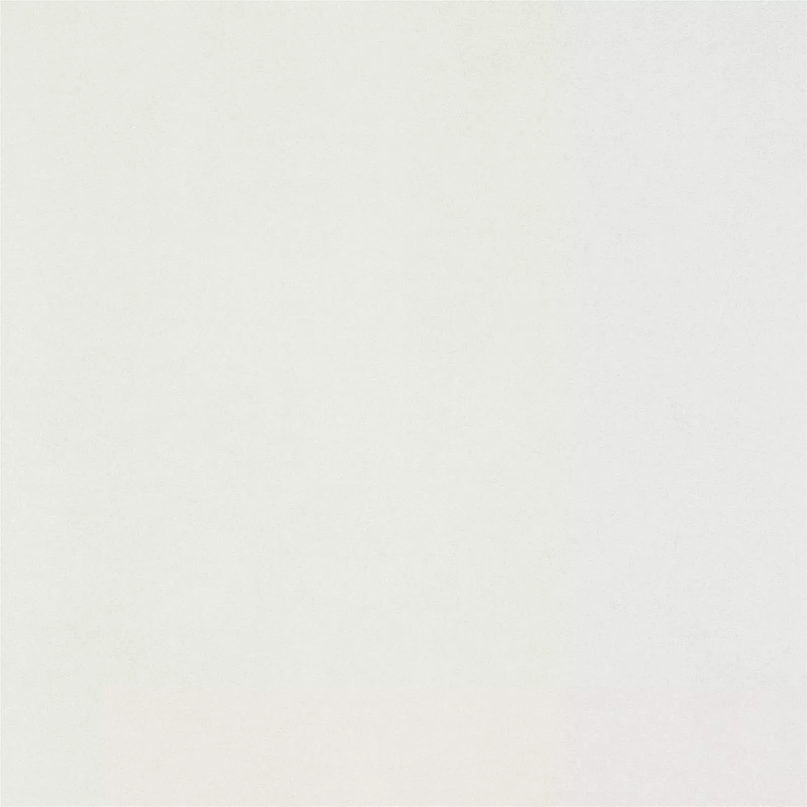 Πρότυπο Πλακάκι Δαπέδου Mainland Συγκεκριμένη Εμφάνιση Αμεμπτος 60x60cm Ασπρο