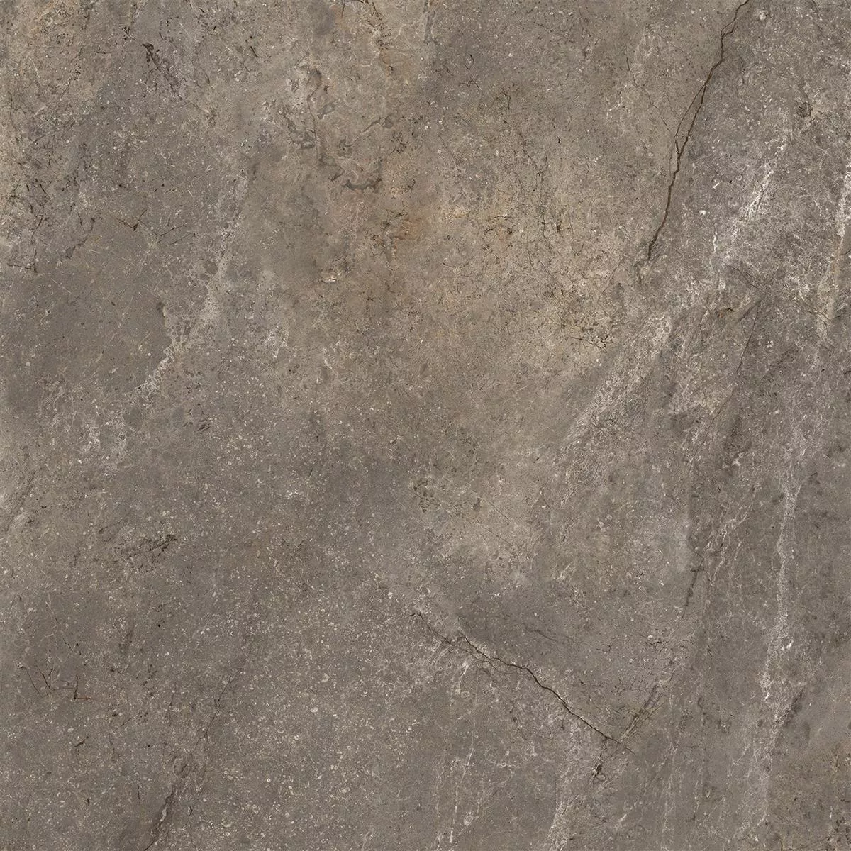 Πρότυπο από Πλακάκια Δαπέδου Pangea Μαρμάρινη Όψη Αμεμπτος Mokka 60x60cm
