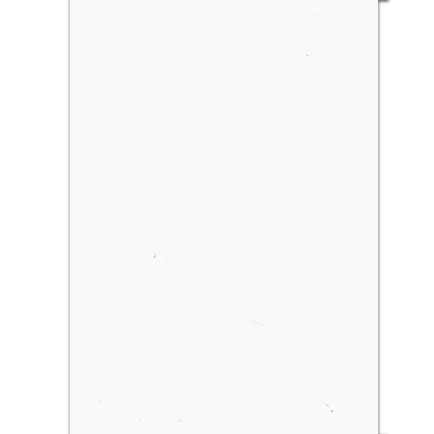 Πλακάκια Tοίχου Athlet Ασπρο Παγωμένος 60x120cm