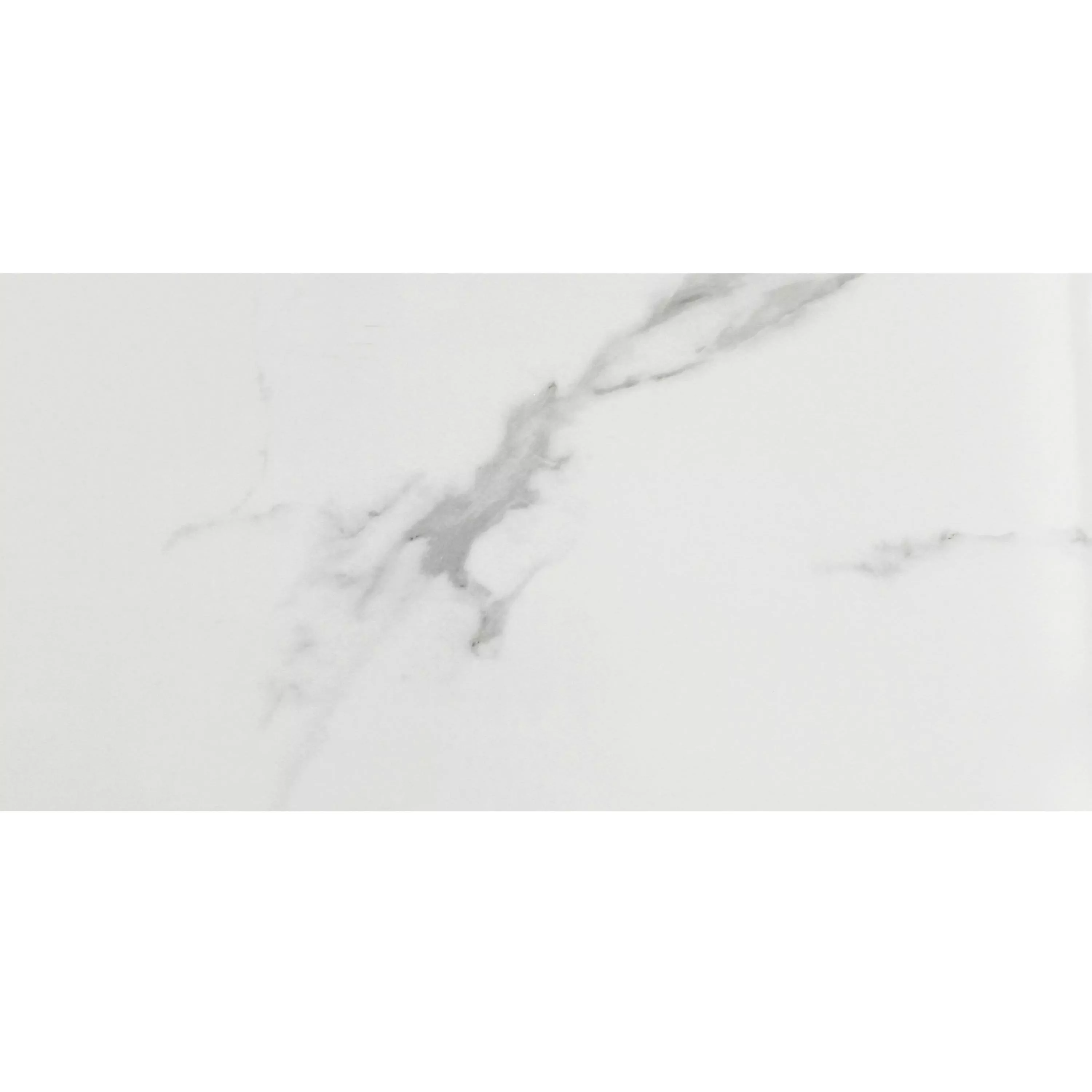 Πλακάκι Δαπέδου Aronia Carrara Αμεμπτος 30x60cm