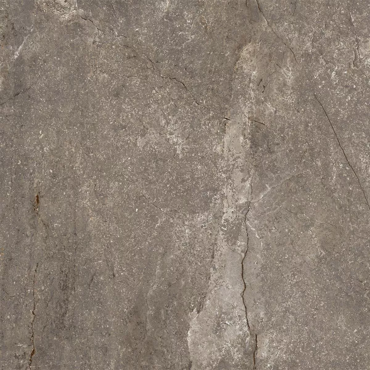 Πρότυπο από Πλακάκια Δαπέδου Pangea Μαρμάρινη Όψη Αμεμπτος Mokka 60x60cm
