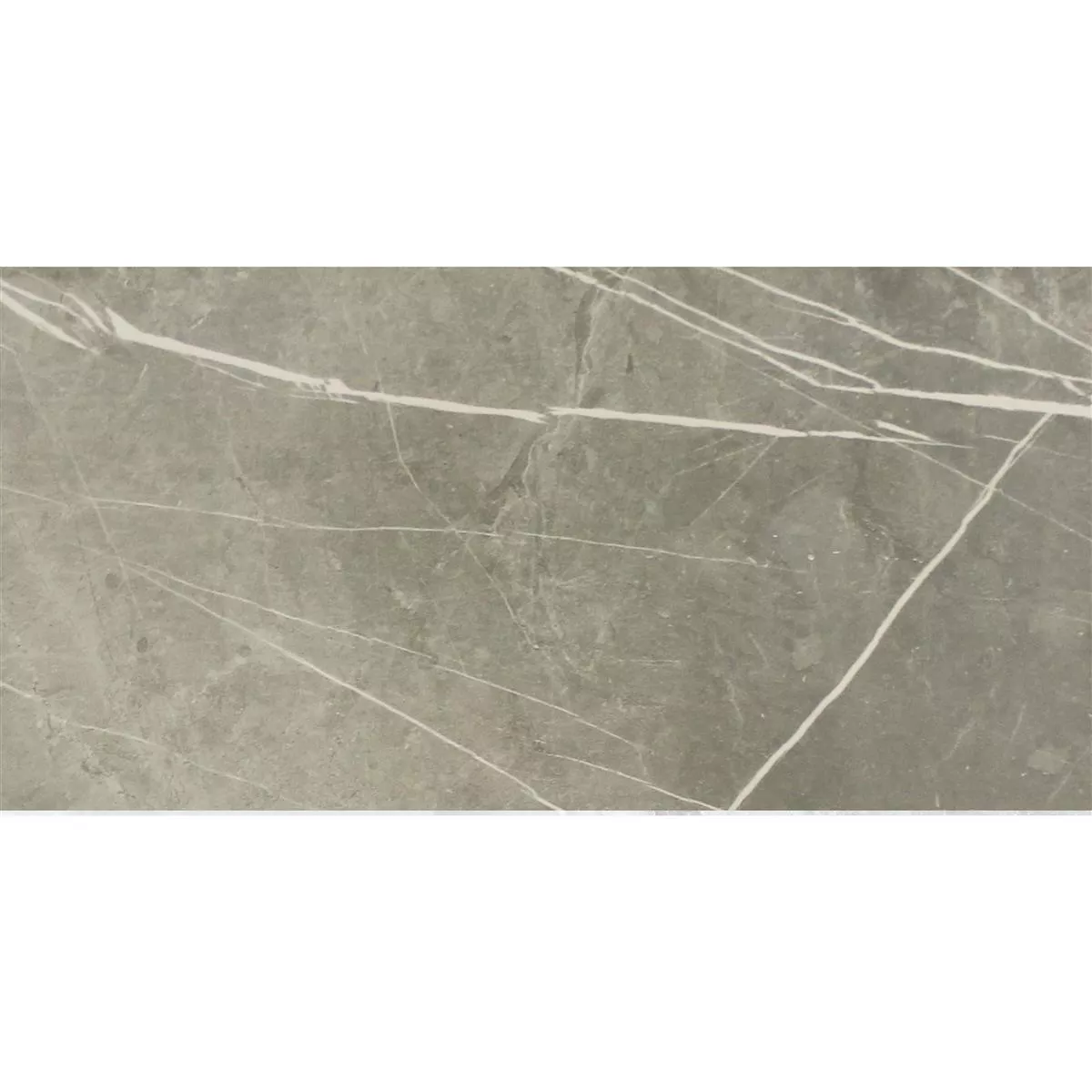 Πρότυπο Πλακάκια Δαπέδου Astara Eμφάνιση Φυσικής Πέτρας Αμεμπτος Grey 30x60cm