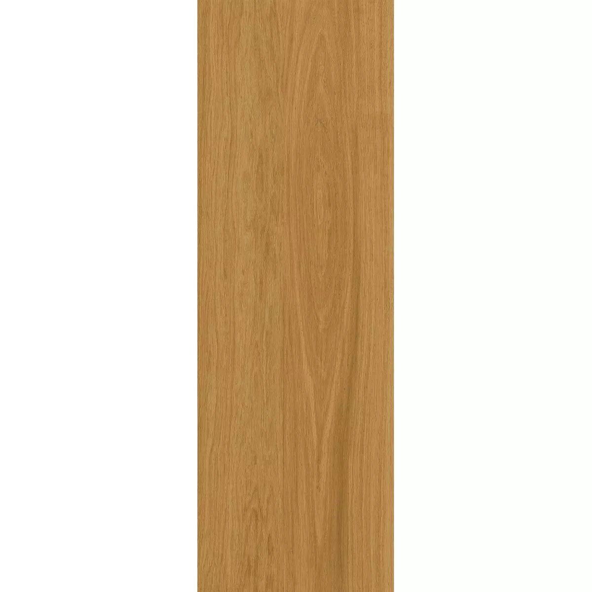 Πλάκες Εράντας Όψη Ξύλου TerraLine Honey 40x120 cm