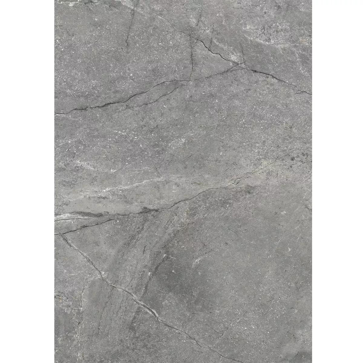 Πρότυπο από Πλακάκια Δαπέδου Pangea Μαρμάρινη Όψη Παγωμένος Γκρί 60x120cm