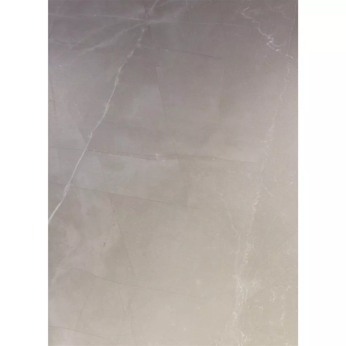 Πλακάκια Δαπέδου Manarola Μαρμάρινη Όψη Παγωμένος Γκρί 60x120cm Πλακάκια Δαπέδου Manarola Μαρμάρινη Όψη Παγωμένος Γκρί 60x120cm