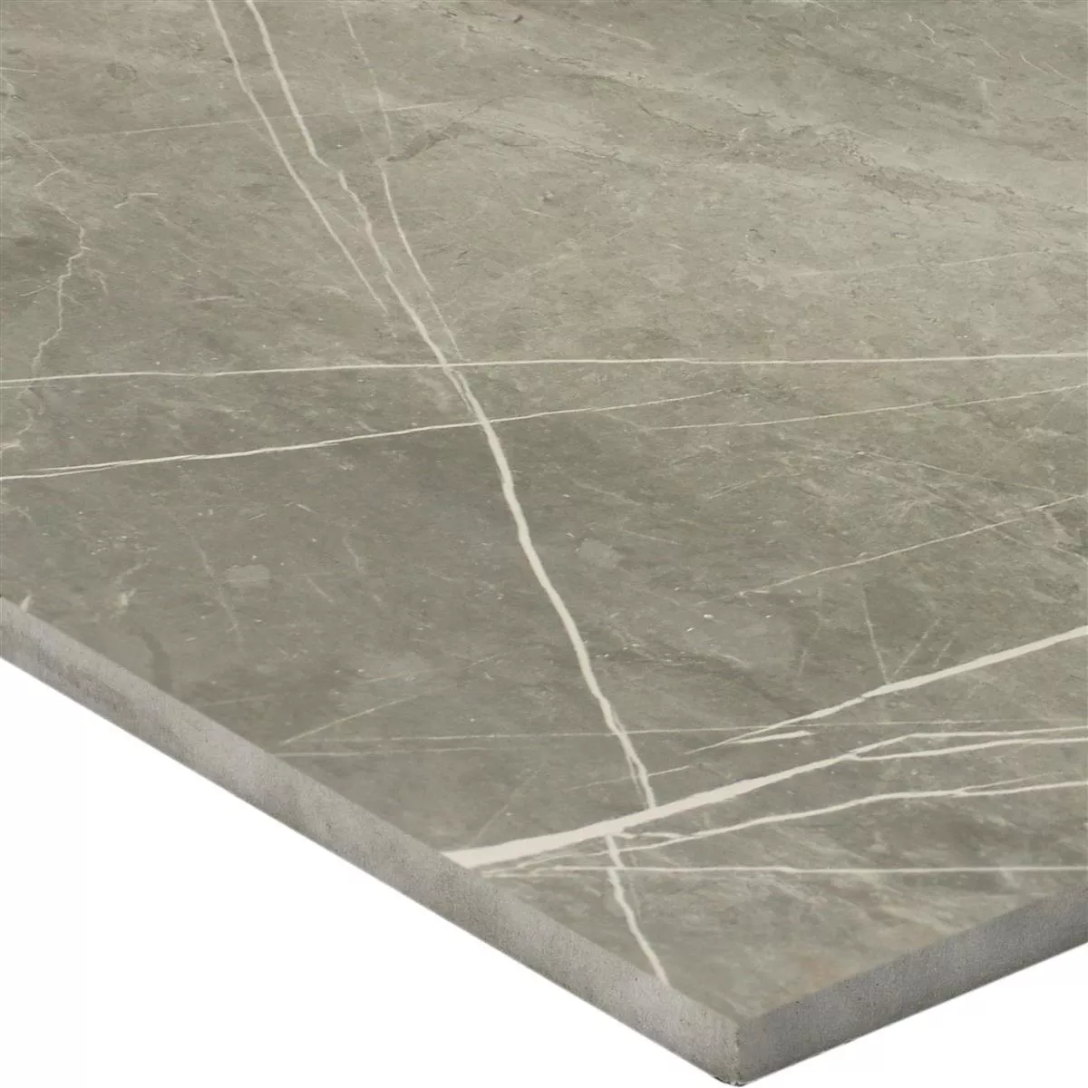 Πρότυπο Πλακάκια Δαπέδου Astara Eμφάνιση Φυσικής Πέτρας Αμεμπτος Grey 60x60cm
