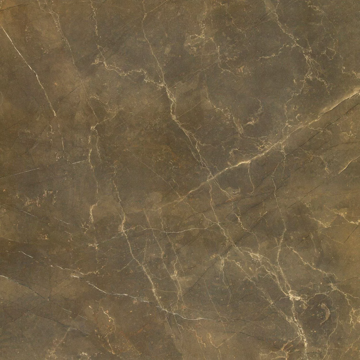 Πλακάκια Δαπέδου Μαρμάρινη Όψη Imperial Khaki 80x80cm Πλακάκια Δαπέδου Μαρμάρινη Όψη Imperial Khaki 80x80cm