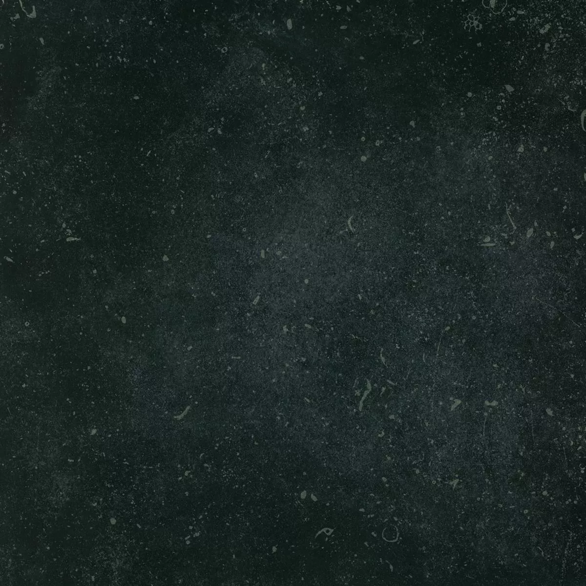 Πρότυπο Πλάκες Εράντας Wilhelm Εμφάνιση Aσβεστόλιθου Μαύρος 60x60cm