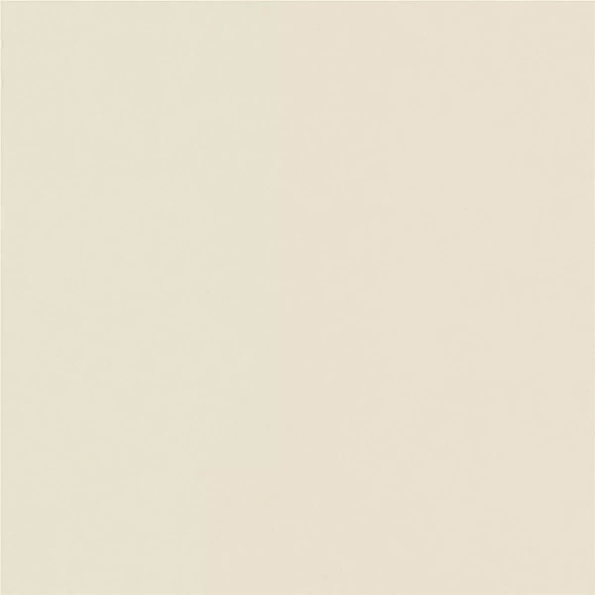 Kolossal Eλεφαντόδοντο 60x60 cm