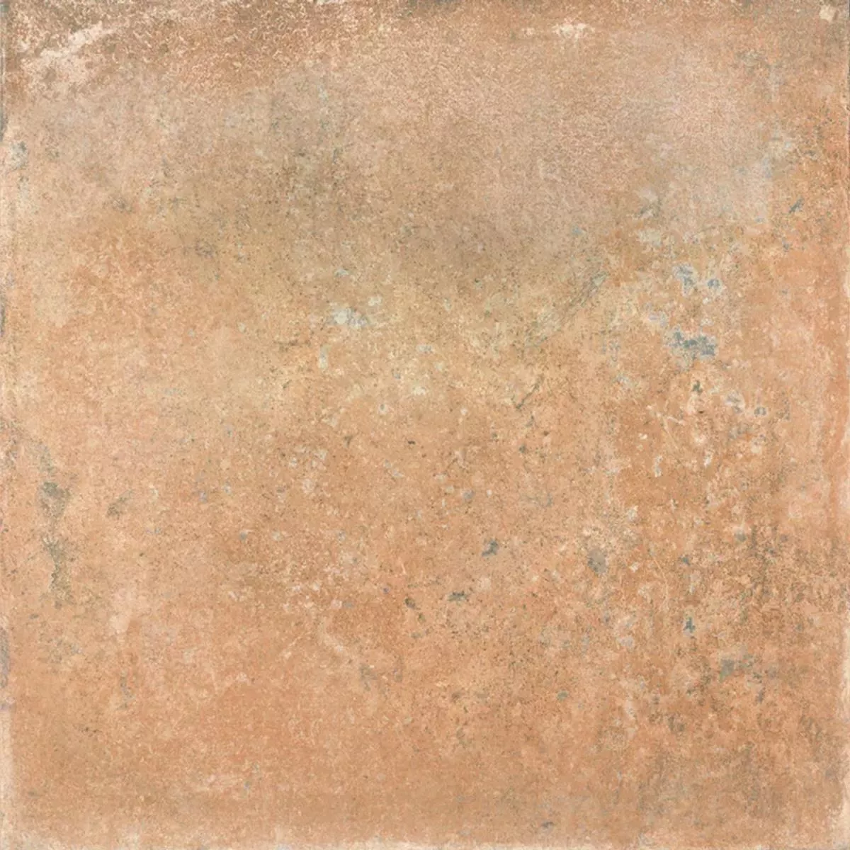 Queens Τερρακότα Kαφέ 25x25 cm