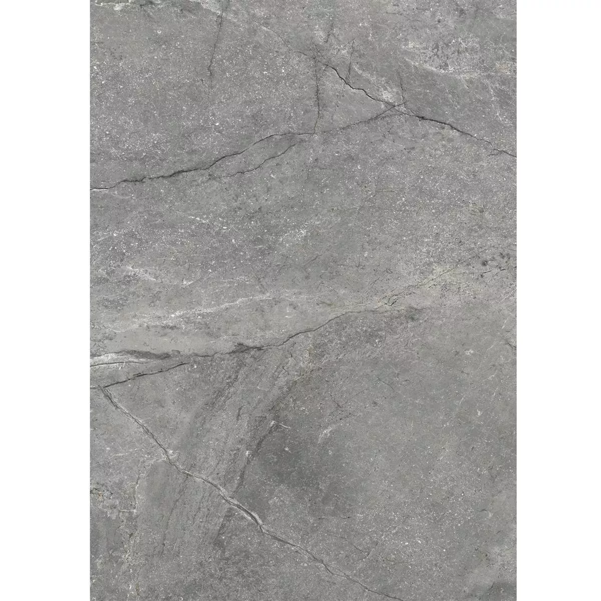 Πλακάκια Δαπέδου Pangea Μαρμάρινη Όψη Αμεμπτος Γκρί 60x120cm Πλακάκια Δαπέδου Pangea Μαρμάρινη Όψη Αμεμπτος Γκρί 60x120cm